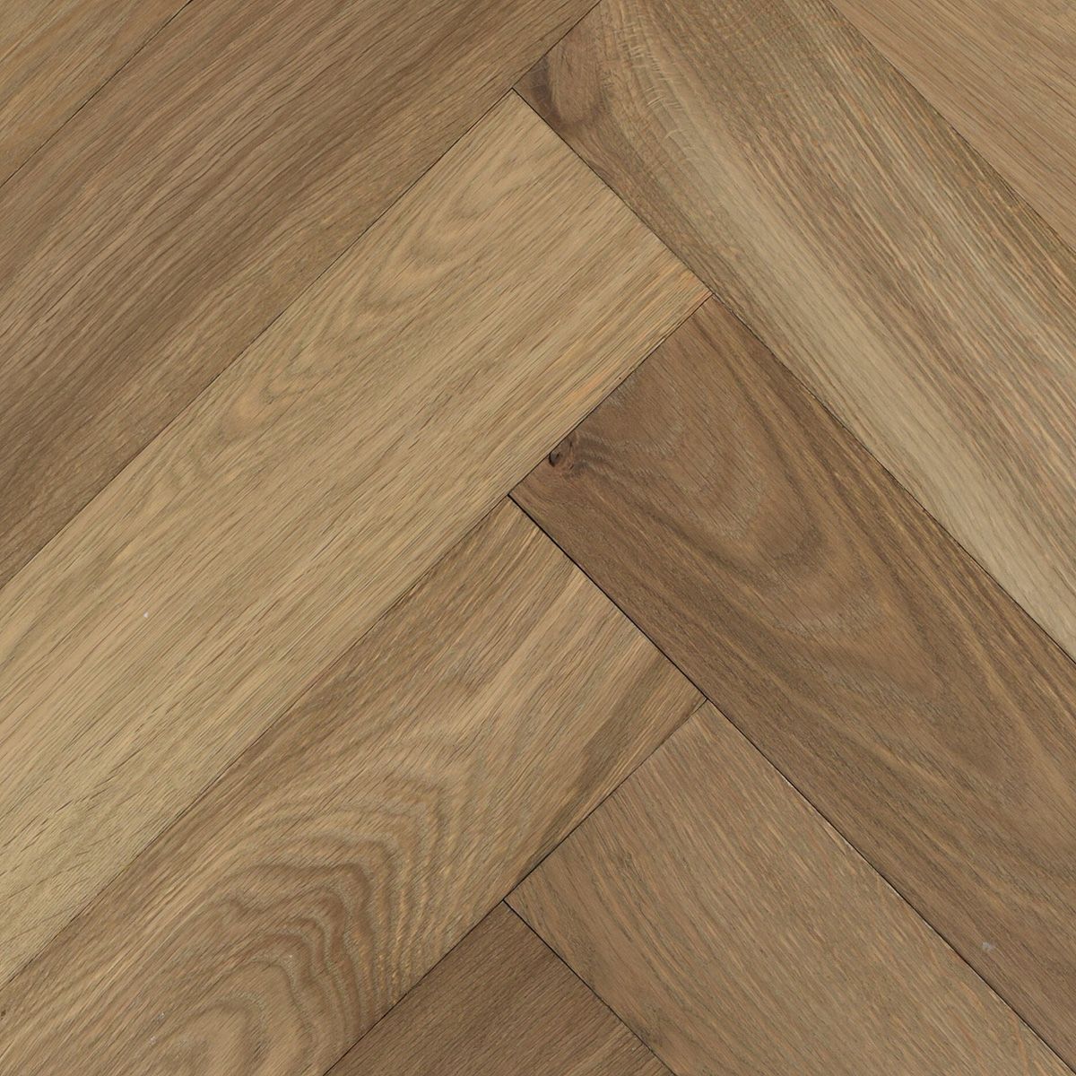 Light Brown Visgraat