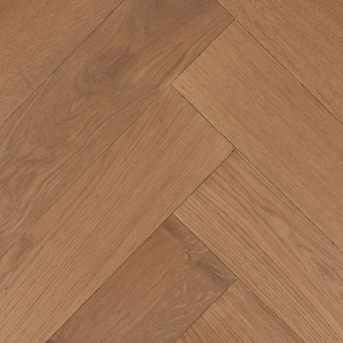 Brown Visgraat